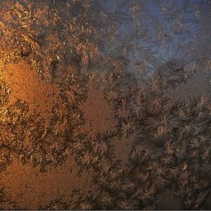 Meet your Posher, Iana